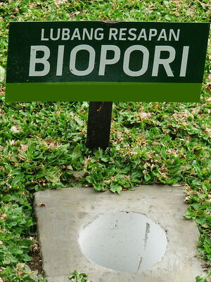 Biopori