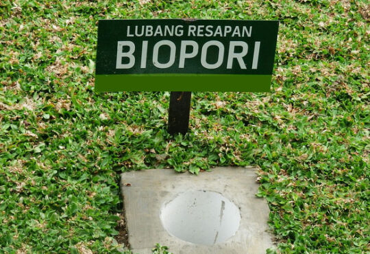 Biopori