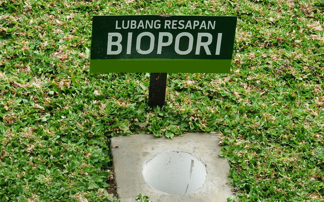 Biopori